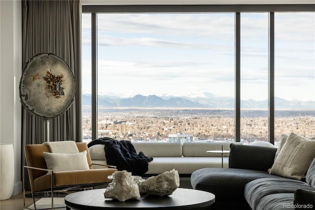 living room featuring wood-type flooring and a mountain view