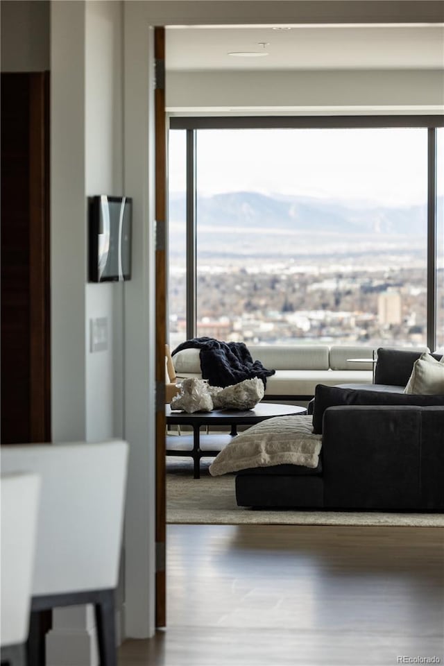 living room featuring a mountain view, plenty of natural light, and hardwood / wood-style floors