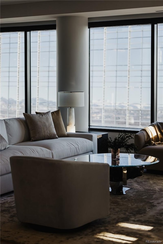 living room featuring plenty of natural light