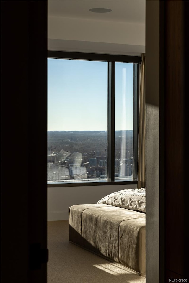 bedroom featuring a water view