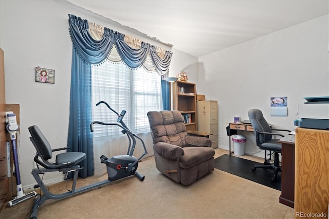 12522 Locust Way, Thornton, CO 80602 - view of carpeted home office