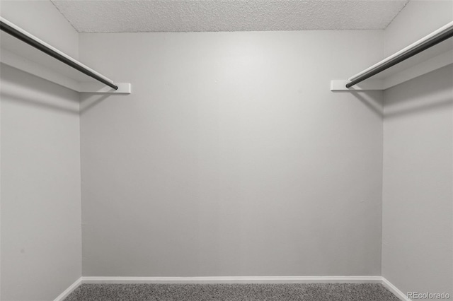 spacious closet with carpet