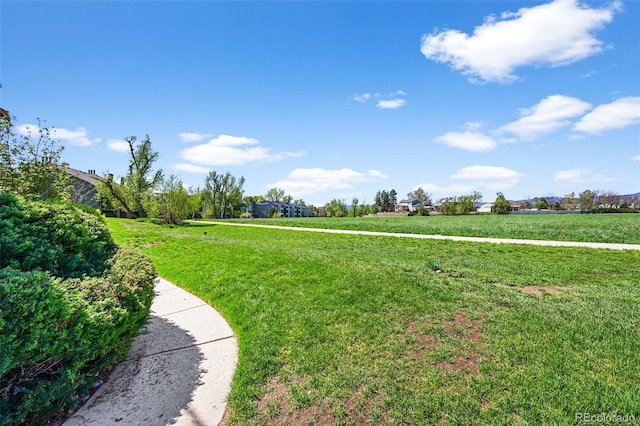 view of community featuring a yard