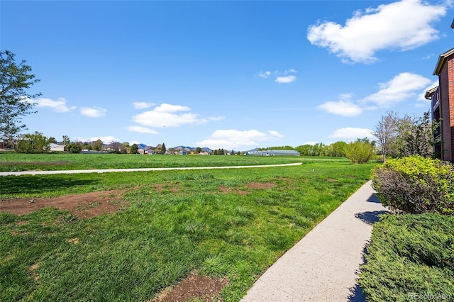 view of home's community featuring a lawn