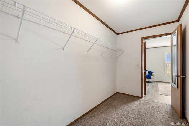 1134 Buffalo Run Rd, Calhan, CO 80808 - walk in closet with carpet floors