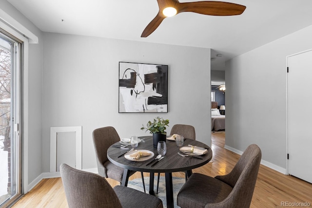 dining space with light hardwood / wood-style floors and ceiling fan