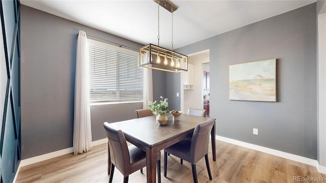 dining room featuring light wood-type flooring