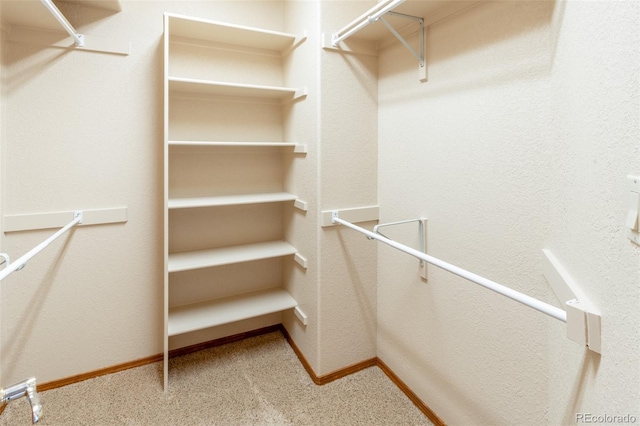 walk in closet featuring carpet floors