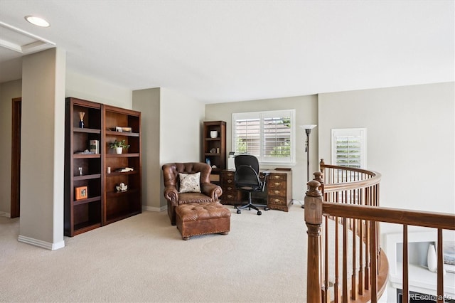 8470 S Oak St, Littleton, CO 80127 - photo 22