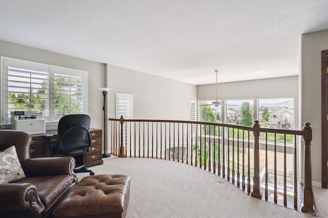 8470 S Oak St, Littleton, CO 80127 - photo 23