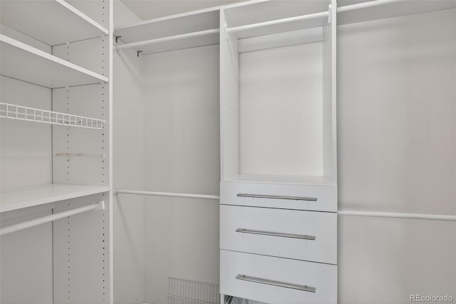 4535 Hunterwood Dr, Highlands Ranch, CO 80130 - view of walk in closet