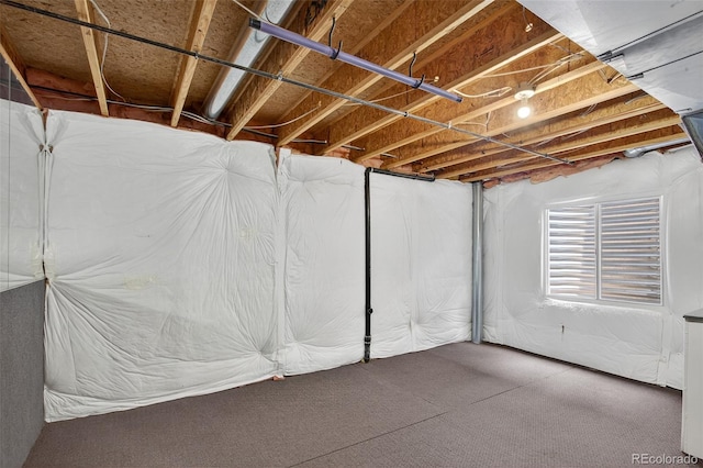 4535 Hunterwood Dr, Highlands Ranch, CO 80130 - below grade area with carpet