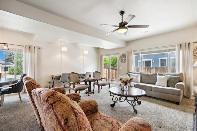5302 Canadian Rose Vw, Colorado Springs, CO 80916 - carpeted living area featuring ceiling fan