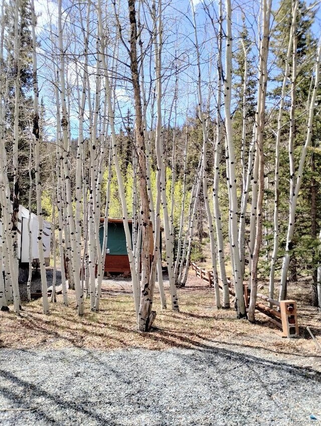 627 Depot Dr, Hartsel, CO 80449 - photo 8