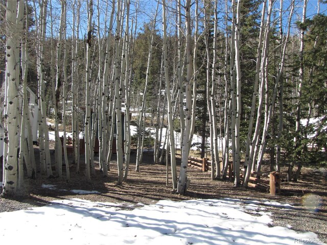 627 Depot Dr, Hartsel, CO 80449 - photo 36