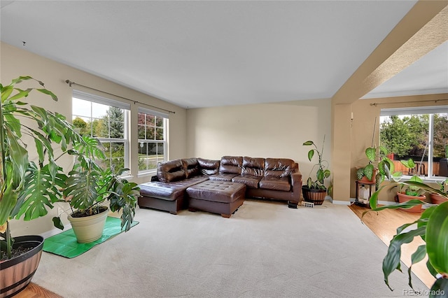 view of carpeted living room