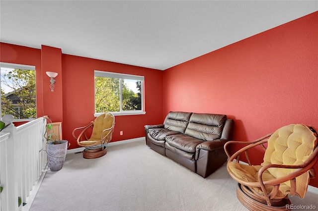 living room featuring carpet flooring