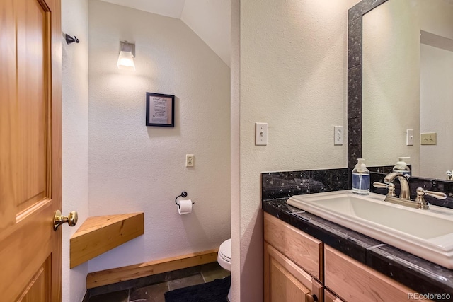 32217 Buffalo Park Rd, Evergreen, CO 80439 - bathroom featuring vanity, toilet, and lofted ceiling