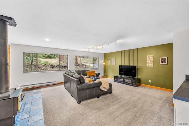 32217 Buffalo Park Rd, Evergreen, CO 80439 - living area featuring baseboard heating, baseboards, rail lighting, and stone finish floors