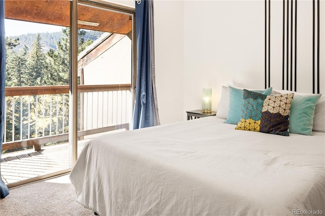 32217 Buffalo Park Rd, Evergreen, CO 80439 - carpeted bedroom with access to outside