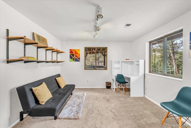 32217 Buffalo Park Rd, Evergreen, CO 80439 - sitting room with carpet, track lighting, baseboards, and a desk