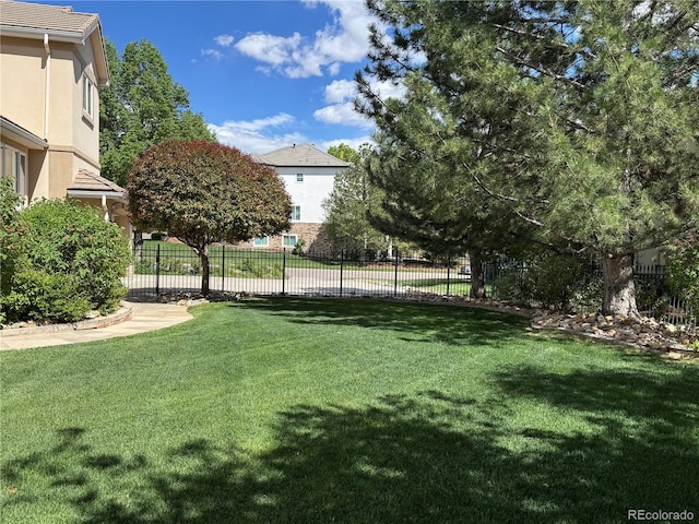 view of yard