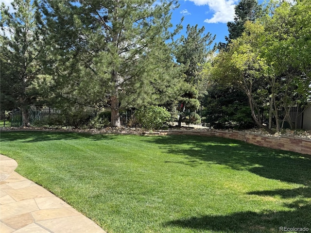 view of yard
