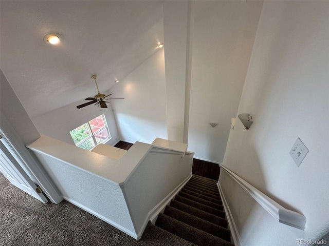 15555 E 40th Ave Unit 11, Denver, CO 80239 - stairs with carpet, vaulted ceiling, and ceiling fan