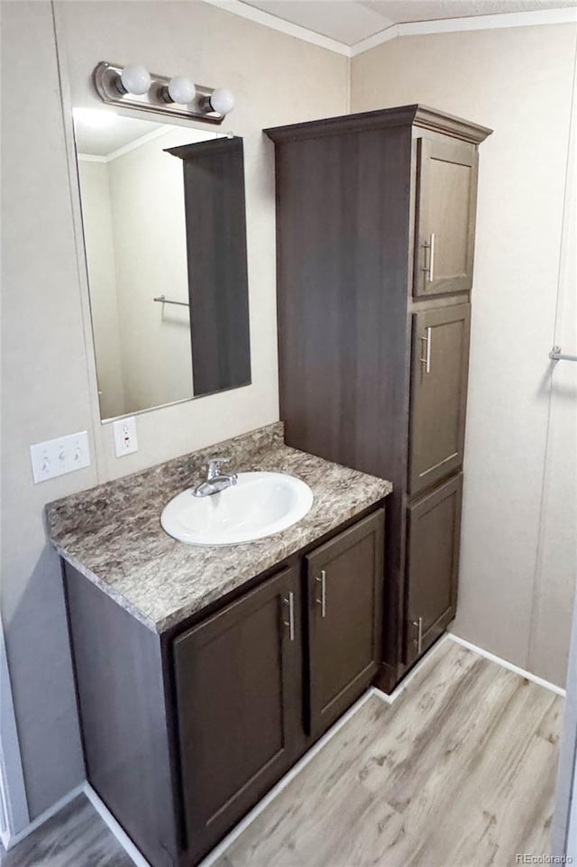 bathroom with vanity, crown molding, and wood finished floors