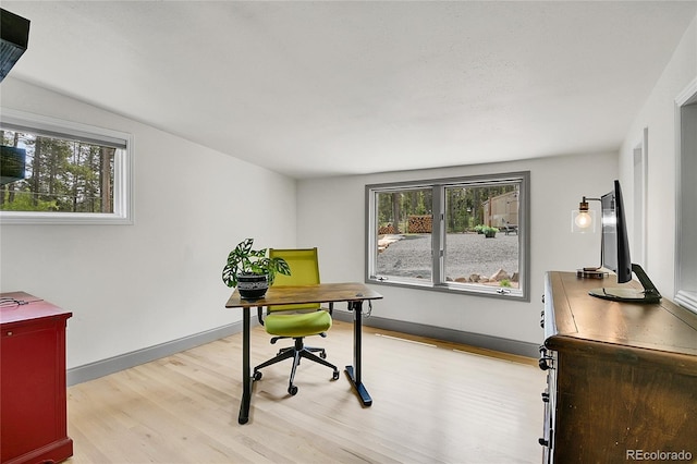 10887 Goodheart Ave, Conifer, CO 80433 - home office featuring light wood finished floors and baseboards