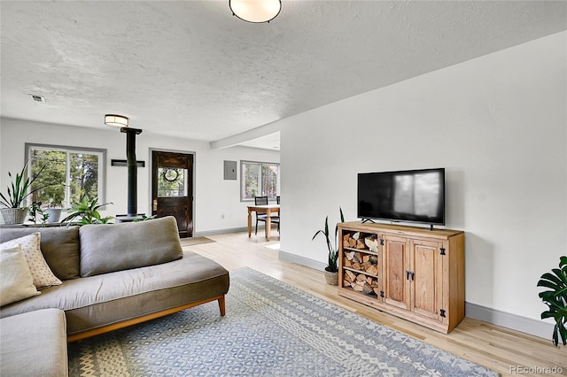 10887 Goodheart Ave, Conifer, CO 80433 - living area featuring a wood stove, plenty of natural light, light wood-style floors, and a textured ceiling