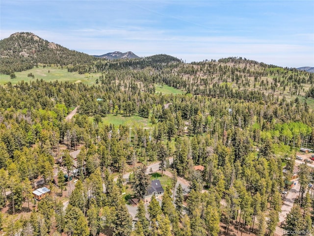10887 Goodheart Ave, Conifer, CO 80433 - view of mountain background with a heavily wooded area