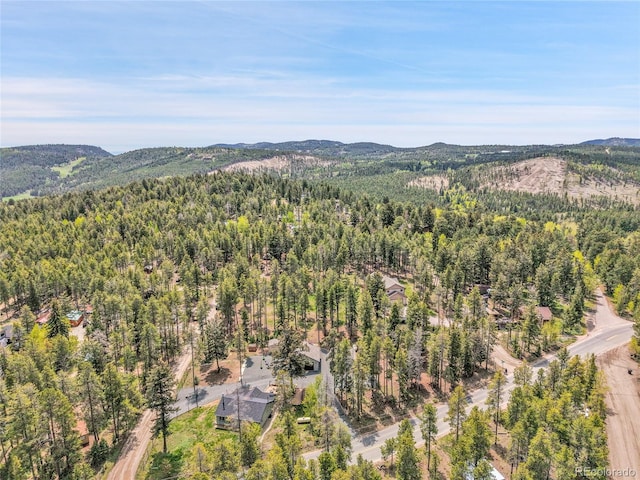 10887 Goodheart Ave, Conifer, CO 80433 - bird's eye view of a forest and mountains