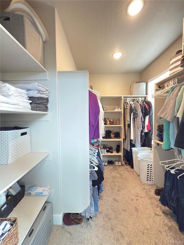 734 Flamecrest Dr, Fruita, CO 81521 - spacious closet featuring carpet