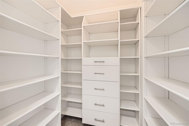 9079 E Panorama Cir Unit 419, Englewood, CO 80112 - view of walk in closet