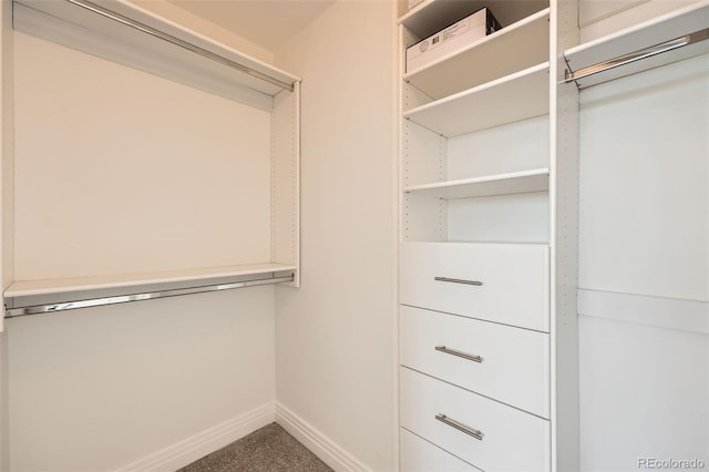 9079 E Panorama Cir Unit 419, Englewood, CO 80112 - spacious closet featuring carpet