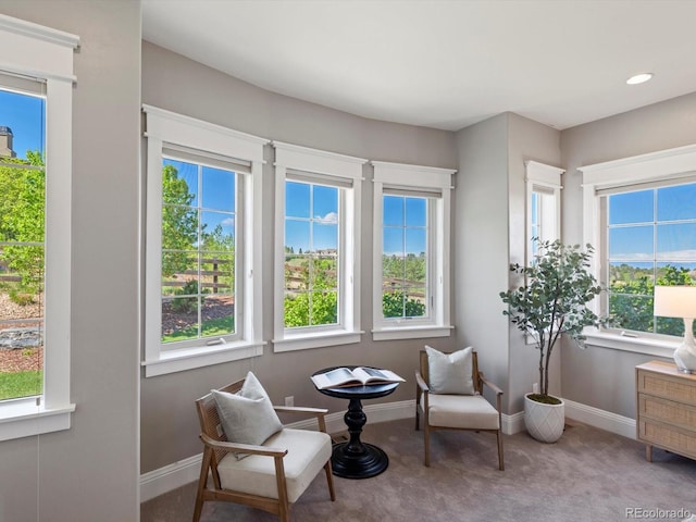 6995 S Ensenada St, Aurora, CO 80016 - sitting room featuring carpet and baseboards