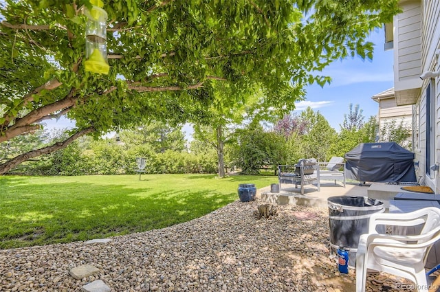 6141 S Richfield Ct, Aurora, CO 80016 - photo 10