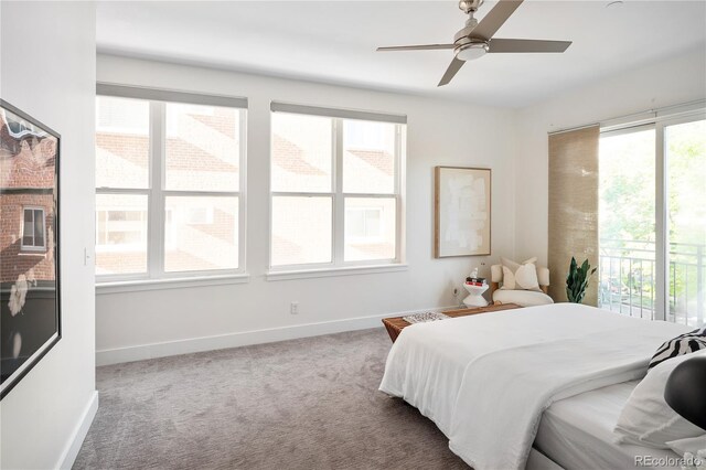 340 S Lafayette St Unit 201, Denver, CO 80209 - bedroom with multiple windows, carpet, and baseboards