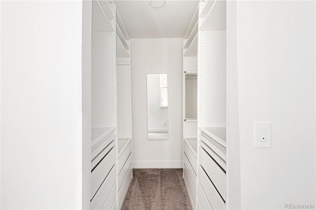 340 S Lafayette St Unit 201, Denver, CO 80209 - walk in closet featuring dark colored carpet