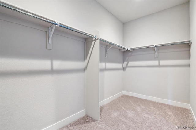 1699 Morgan Dr, Erie, CO 80516 - photo 16