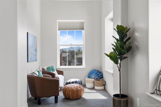 living area with carpet flooring