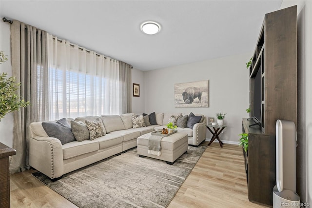 living room featuring wood-type flooring