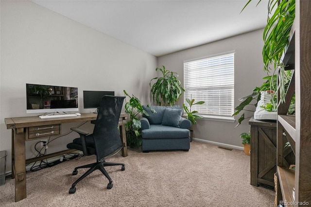 view of carpeted office space