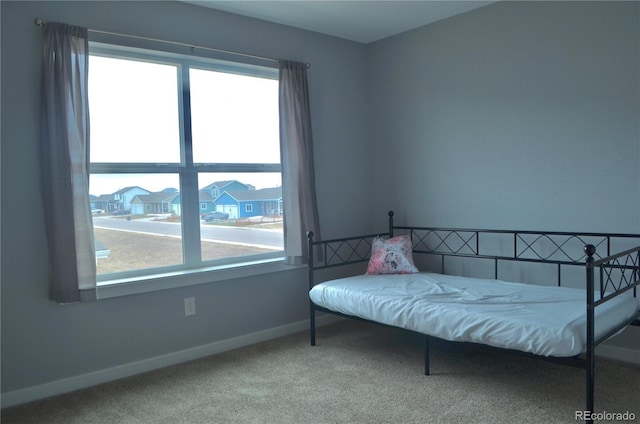 bedroom with carpet and multiple windows