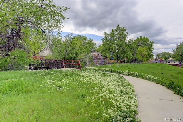 7552 Garland St, Arvada, CO 80005 - view of yard