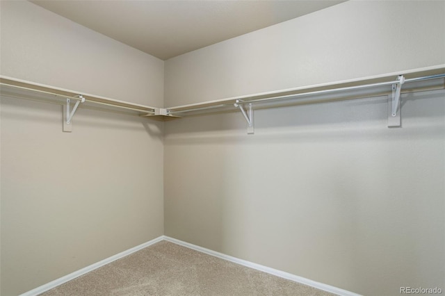 467 S 36th Ave, Brighton, CO 80601 - walk in closet featuring carpet