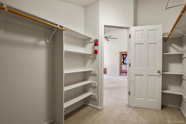 walk in closet with light colored carpet and ceiling fan