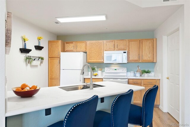 5735 N Genoa Way Unit 11-205, Aurora, CO 80019 - kitchen featuring a sink, a kitchen breakfast bar, white appliances, light wood finished floors, and light countertops