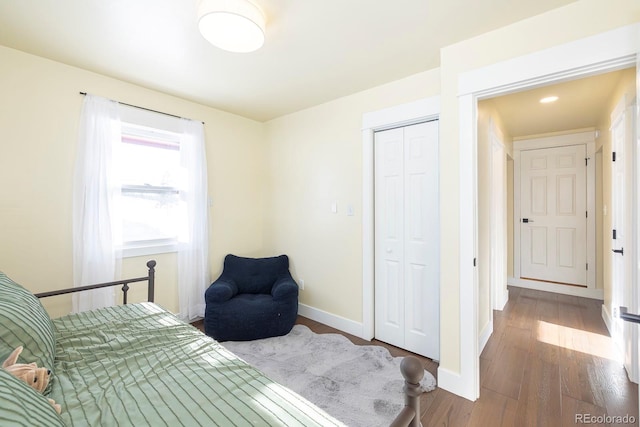 bedroom featuring hardwood / wood-style flooring and a closet